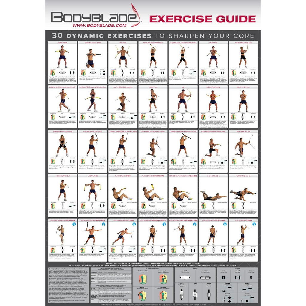 Trx Exercises Chart Pdf - Www.essaywritesystem - Free Printable Trx Workouts