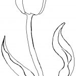 Tulip Flower Coloring Pages Free Printable Tulip Coloring | Sketch   Free Printable Tulip Coloring Pages