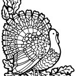 Turkey Coloring Page | A To Z Teacher Stuff Printable Pages And   Free Printable Pictures Of Turkeys To Color