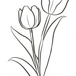 Two Tulips Coloring Page From Tulip Category. Select From 28148   Free Printable Tulip Coloring Pages