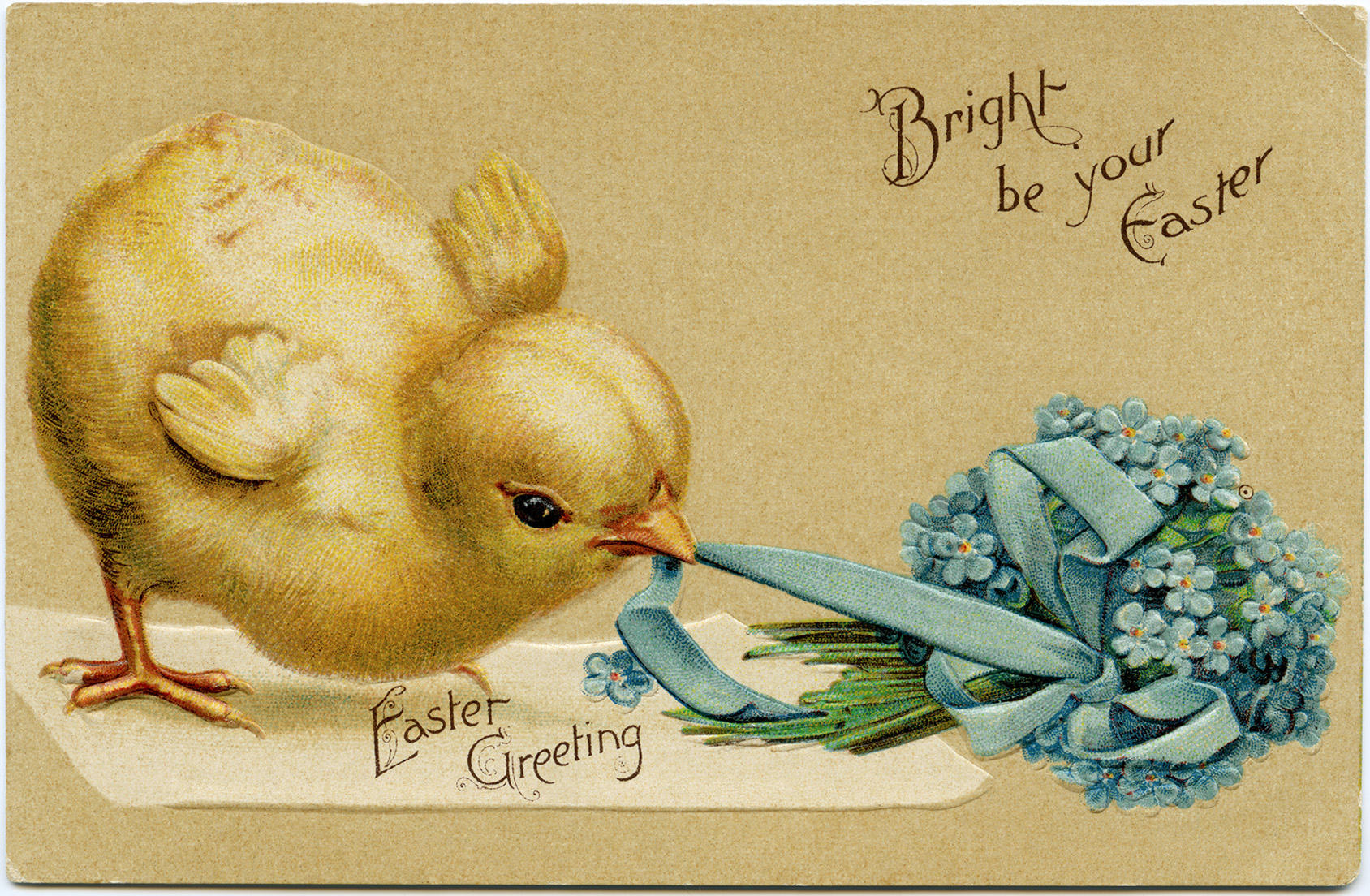 Vintage Easter Chick Postcard ~ Free Digital Image - Old Design Shop - Free Printable Vintage Easter Images