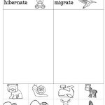 You'll Love These Winter Animals For Preschool Ideas | Montessori   Free Printable Hibernation Worksheets